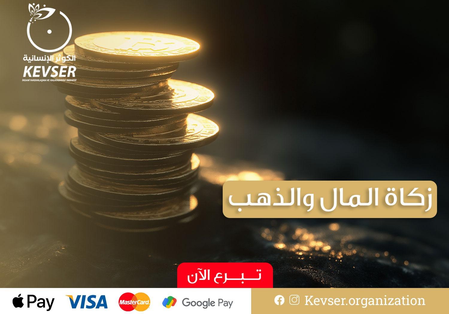 WhatsApp Image 2026-02-14 at 23.39.20 (1)