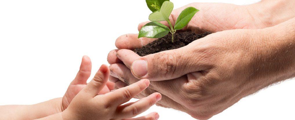 slide21-1018x415-1018x415